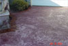 Concrete Services